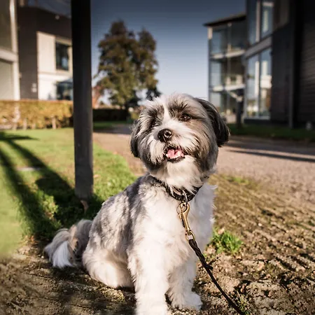 Hotell Kolding Hotel Apartments Kolding