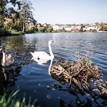 Kolding Hotel Apartments Hotell Kolding